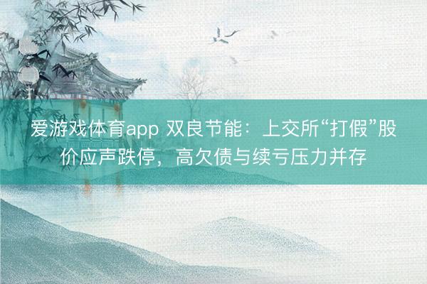 爱游戏体育app 双良节能:上交所“打假”股价应声跌停,高欠债与续亏压力并存