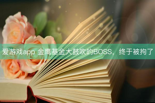 爱游戏app 金鹰基金大鼓吹的BOSS，终于被拘了