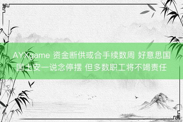 AYXgame 资金断供或合手续数周 好意思国国土安一说念停摆 但多数职工将不竭责任