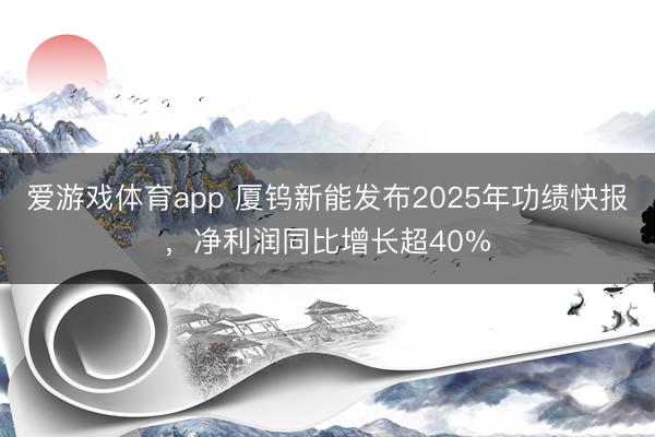 爱游戏体育app 厦钨新能发布2025年功绩快报,净利润同比增长超40%