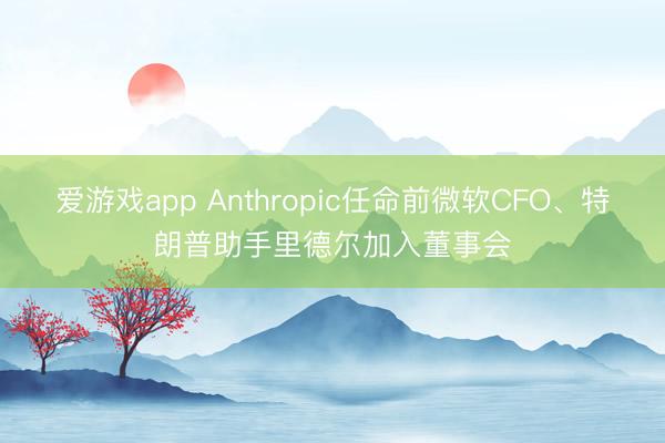 爱游戏app Anthropic任命前微软CFO、特朗普助手里德尔加入董事会