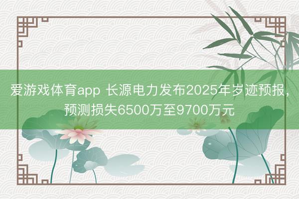 爱游戏体育app 长源电力发布2025年岁迹预报,预测损失6500万至9700万元