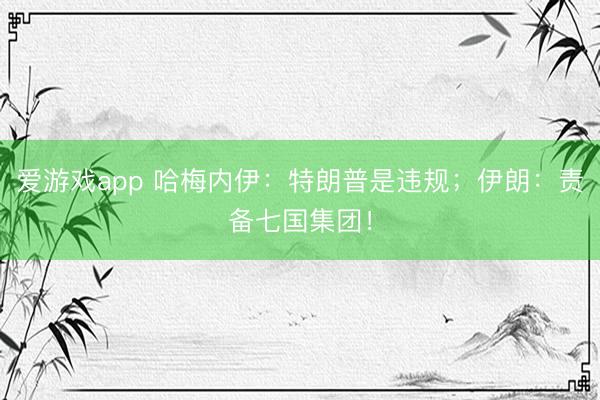 爱游戏app 哈梅内伊:特朗普是违规;伊朗:责备七国集团!