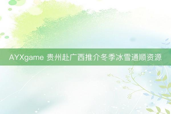 AYXgame 贵州赴广西推介冬季冰雪通顺资源