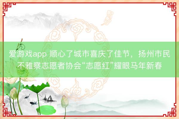 爱游戏app 顺心了城市喜庆了佳节,扬州市民不雅察志愿者协会“志愿红”耀眼马年新春