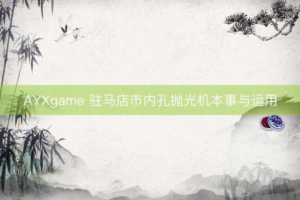 AYXgame 驻马店市内孔抛光机本事与运用