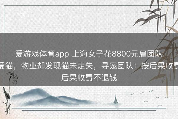 爱游戏体育app 上海女子花8800元雇团队高价寻爱猫,物业却发现猫未走失,寻宠团队:按后果收费不退钱