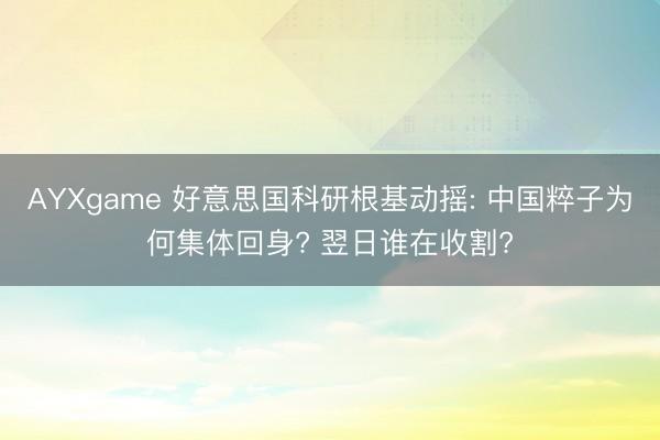 AYXgame 好意思国科研根基动摇: 中国粹子为何集体回身? 翌日谁在收割?