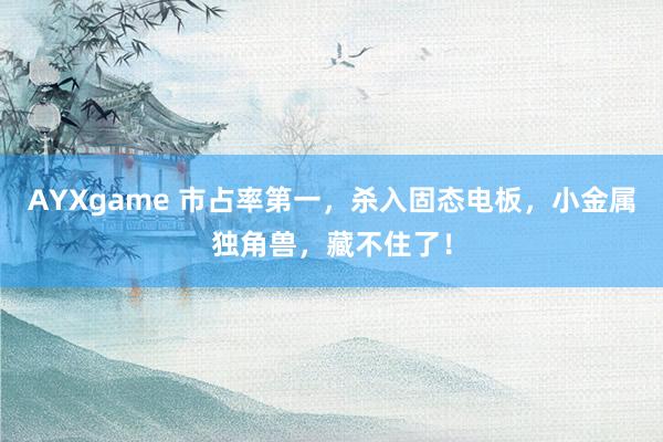 AYXgame 市占率第一，杀入固态电板，小金属独角兽，藏不住了！