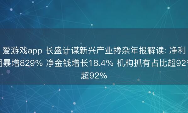爱游戏app 长盛计谋新兴产业搀杂年报解读: 净利润暴增829% 净金钱增长18.4% 机构抓有占比超92%