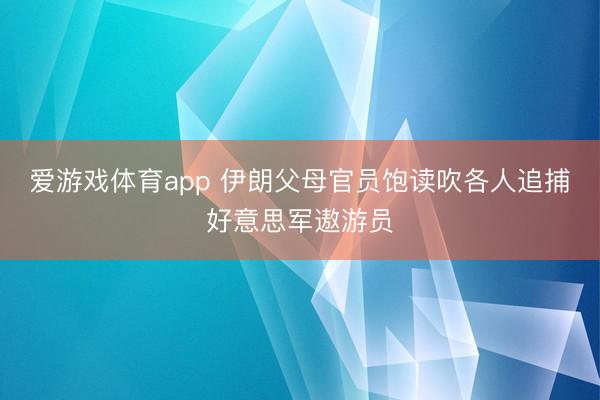 爱游戏体育app 伊朗父母官员饱读吹各人追捕好意思军遨游员