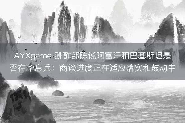 AYXgame 酬酢部陈说阿富汗和巴基斯坦是否在华息兵：商谈进度正在适应落实和鼓动中