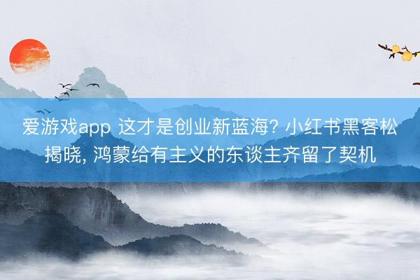 爱游戏app 这才是创业新蓝海? 小红书黑客松揭晓， 鸿蒙给有主义的东谈主齐留了契机