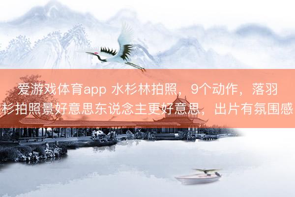 爱游戏体育app 水杉林拍照，9个动作，落羽杉拍照景好意思东说念主更好意思，出片有氛围感