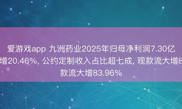 爱游戏app 九洲药业2025年归母净利润7.30亿元同比增20.46%， 公约定制收入占比超七成， 现款流大增83.96%