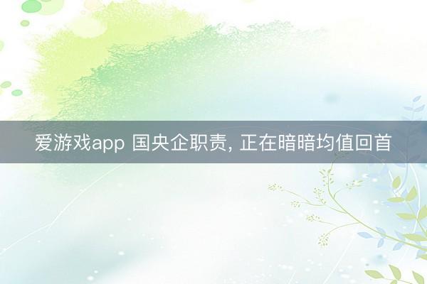 爱游戏app 国央企职责， 正在暗暗均值回首