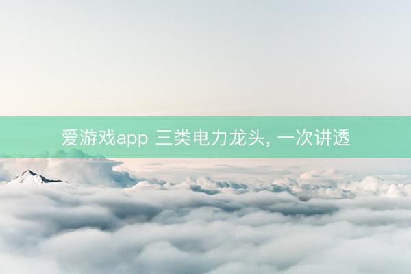 爱游戏app 三类电力龙头， 一次讲透
