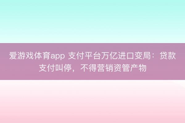 爱游戏体育app 支付平台万亿进口变局：贷款支付叫停，不得营销资管产物
