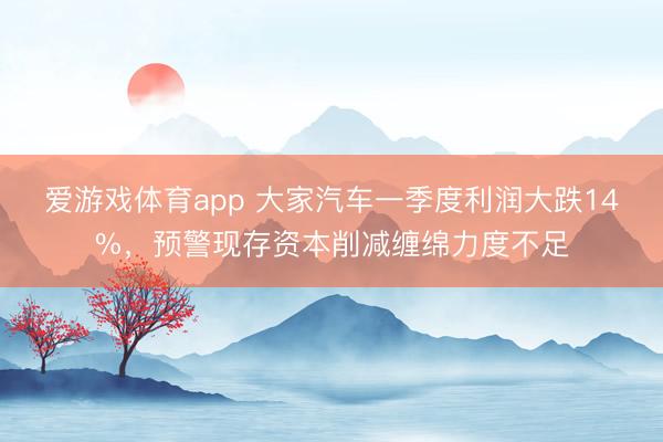 爱游戏体育app 大家汽车一季度利润大跌14%，预警现存资本削减缠绵力度不足