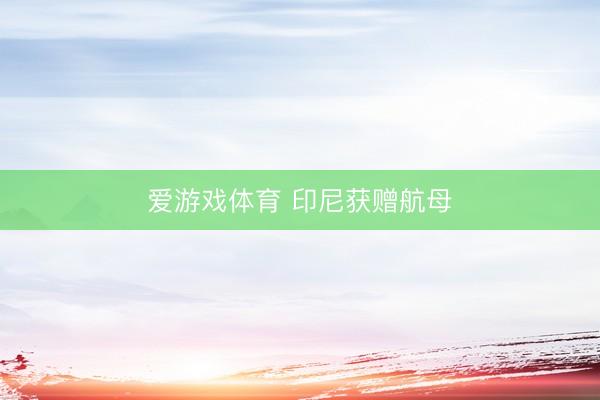 爱游戏体育 印尼获赠航母