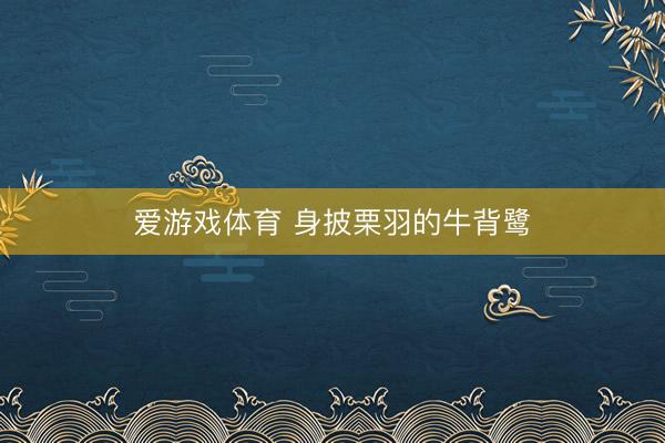 爱游戏体育 身披栗羽的牛背鹭