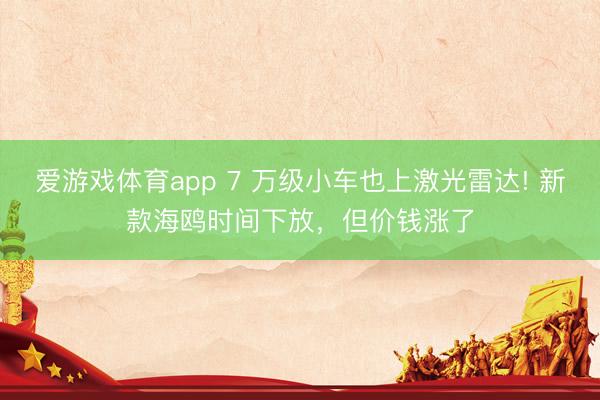 爱游戏体育app 7 万级小车也上激光雷达! 新款海鸥时间下放，但价钱涨了